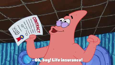 How Much Should You Spend on Insurance in Singapore?