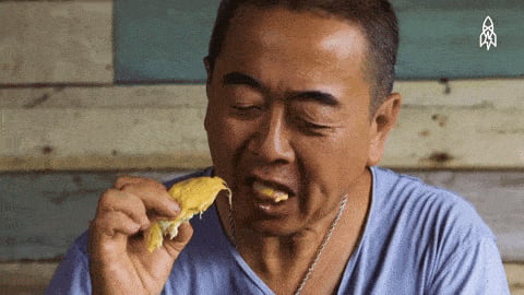 Issue #55: What’s Happening This Week? Record Low Musang King Durian Prices, COE Premiums Shift, and More
