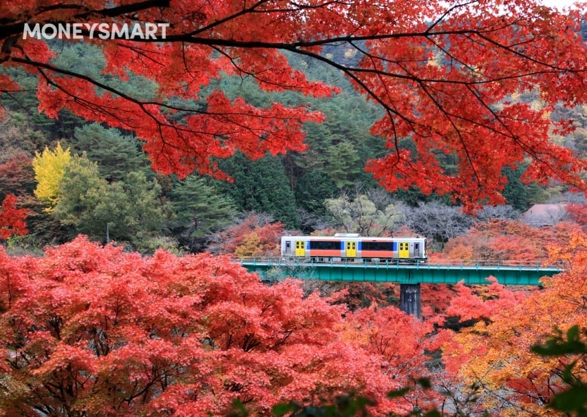 Japan Rail Pass Prices Have Increased By 70%! Here Are 7 Must-Know Travel Hacks To Save Money in Japan